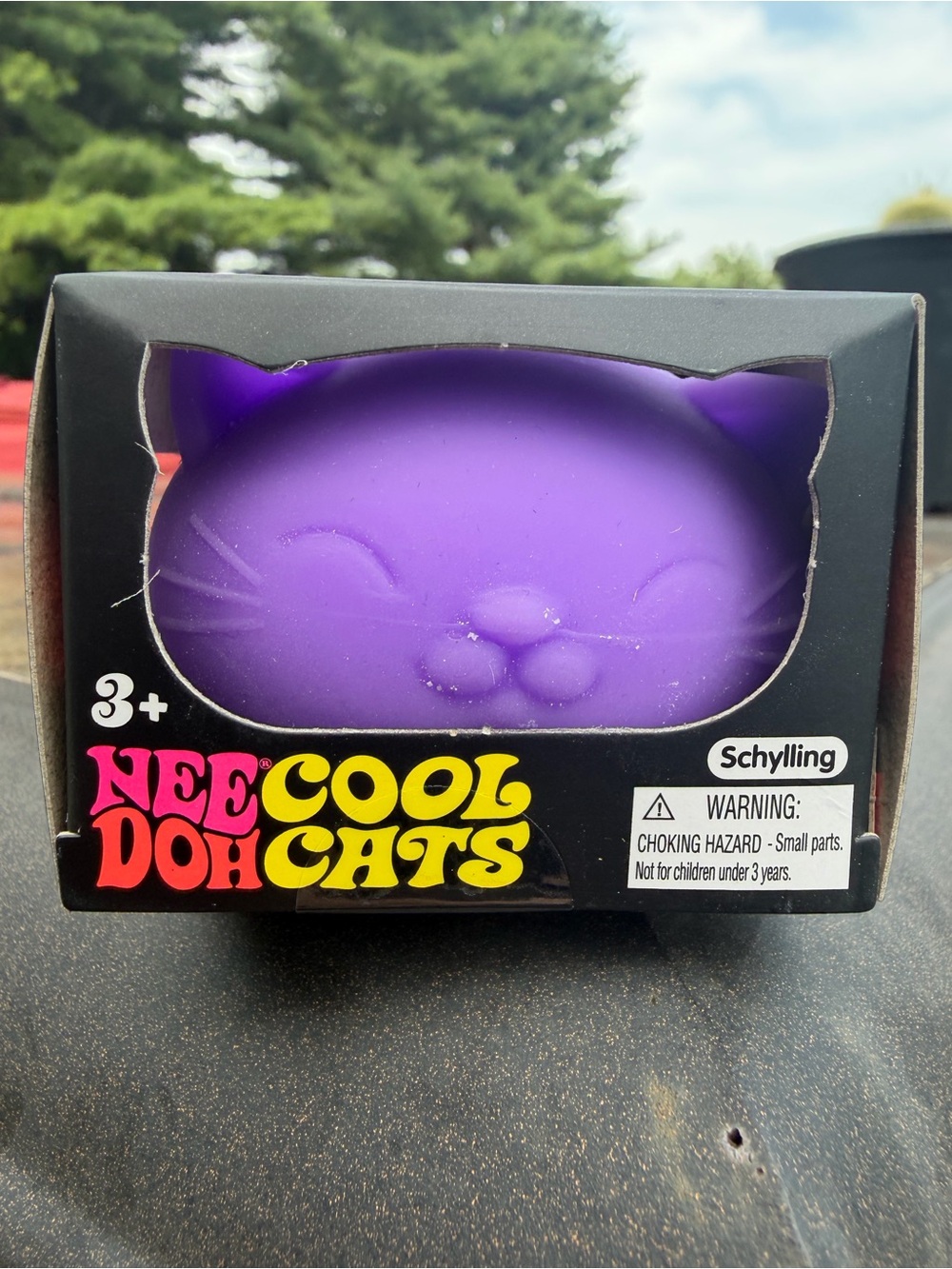NeeDoh Cool Doh Cats -Purple